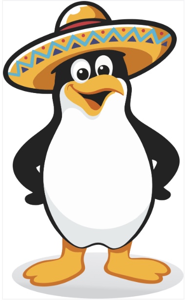 Juancho the penguin wearing a charro sombrero